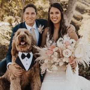 Meet your Posher, Raphael